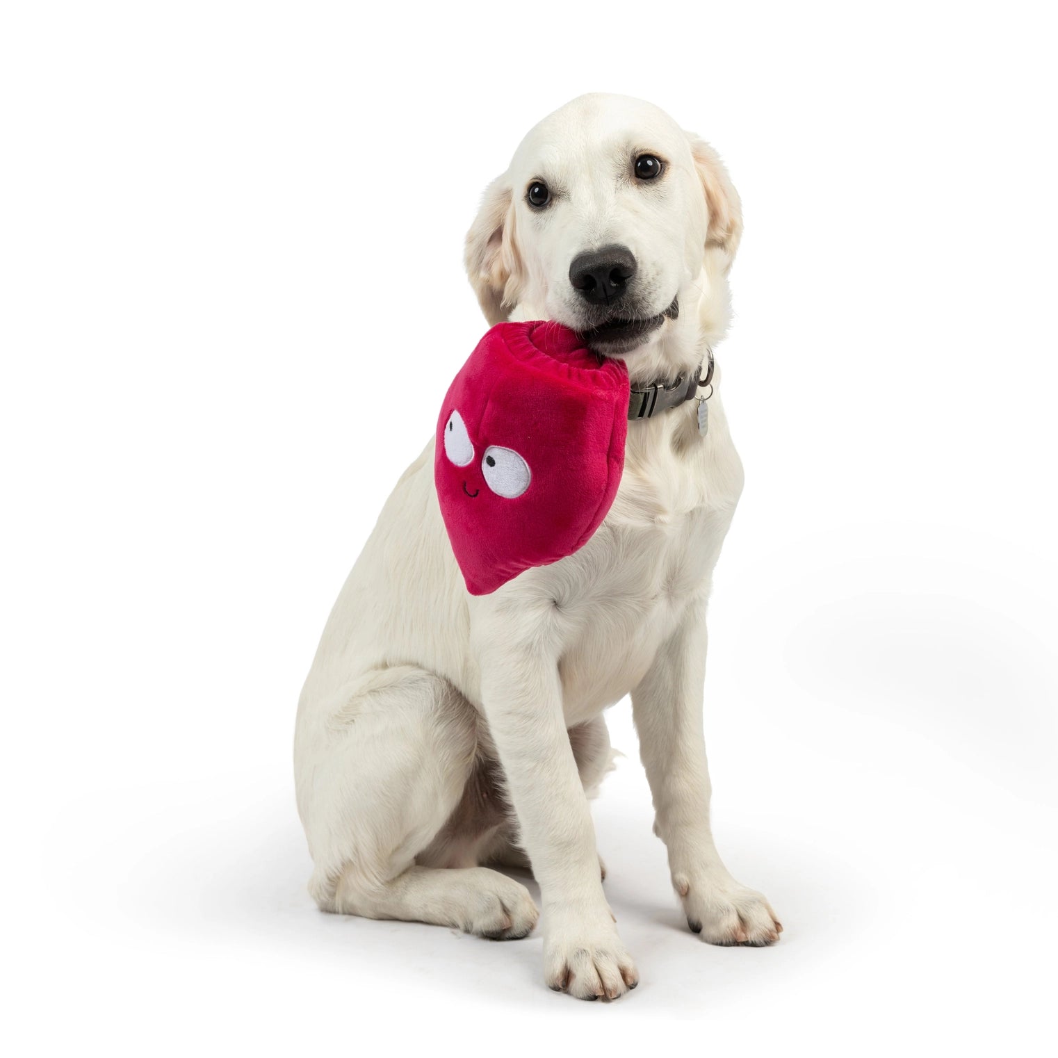 Huxley & Kent - Dog Toy Pop'n Fetch Beet