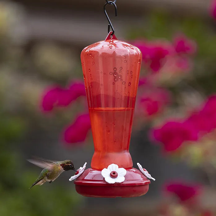 More Birds - Hollyhock Hummingbird Feeder