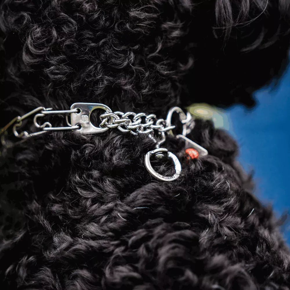 Coastal - Hs Prong Dog Collar Ss Center-Plate/Assembly Chain/Swivel