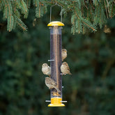 More Birds - Topsy Tails Finch Feeder