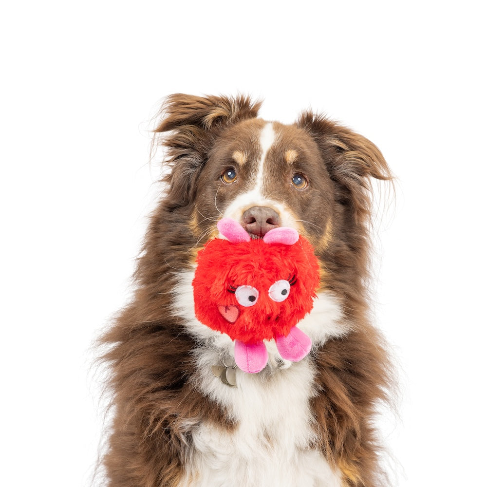 Huxley & Kent - Fur Bug Dog Toy