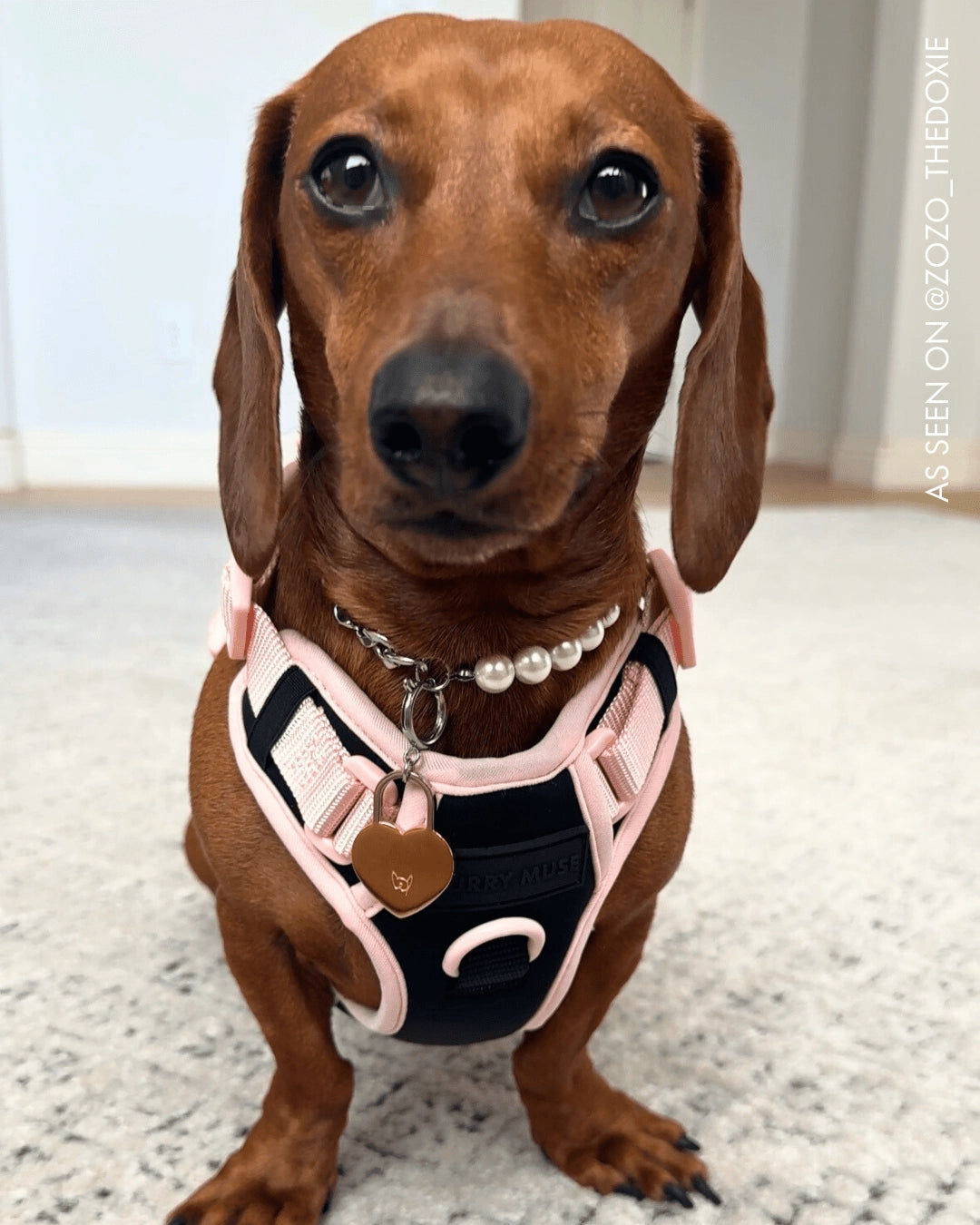 Furry Muse - Lola Necklace Pearl & Silver Chain