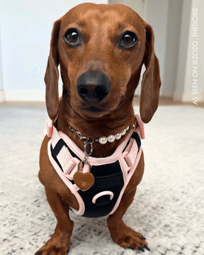 Furry Muse - Lola Necklace Pearl & Silver Chain