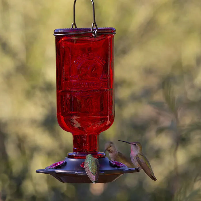 More Birds - Hummingbird Feeder Elixir