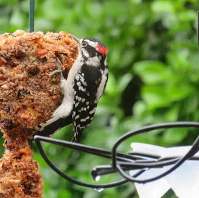 Mr. Bird - Cylinder Flaming Hot Feast