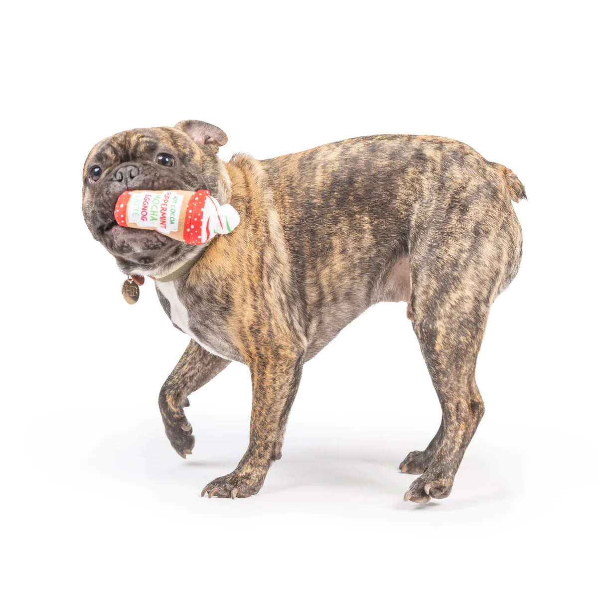 Huxley & Kent - Dog Toy Tiny Tuff Latte My Way
