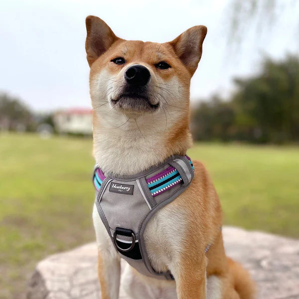 Violet and Celeste | No Pull 3M Reflective Dog Harness Vest with Handle