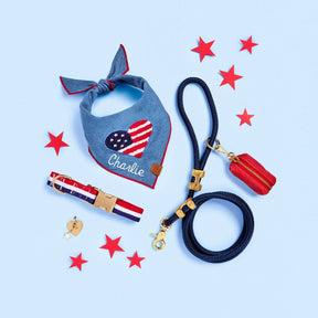 The Foggy Dog - Bandana Dog Americana Applique