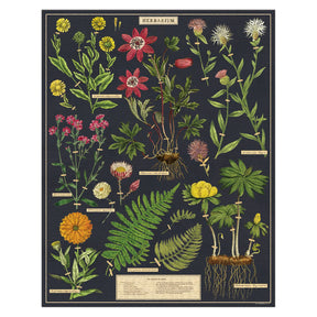 Cavallini & Co. - Puzzle Herbarium