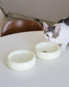 Catenary Home - Halo Pet Bowl