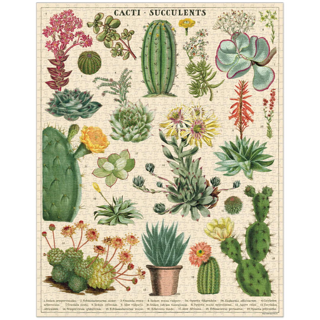Cavallini & Co. - Puzzle Cacti & Succulents