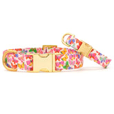 Dog Collar Bright Butterflies