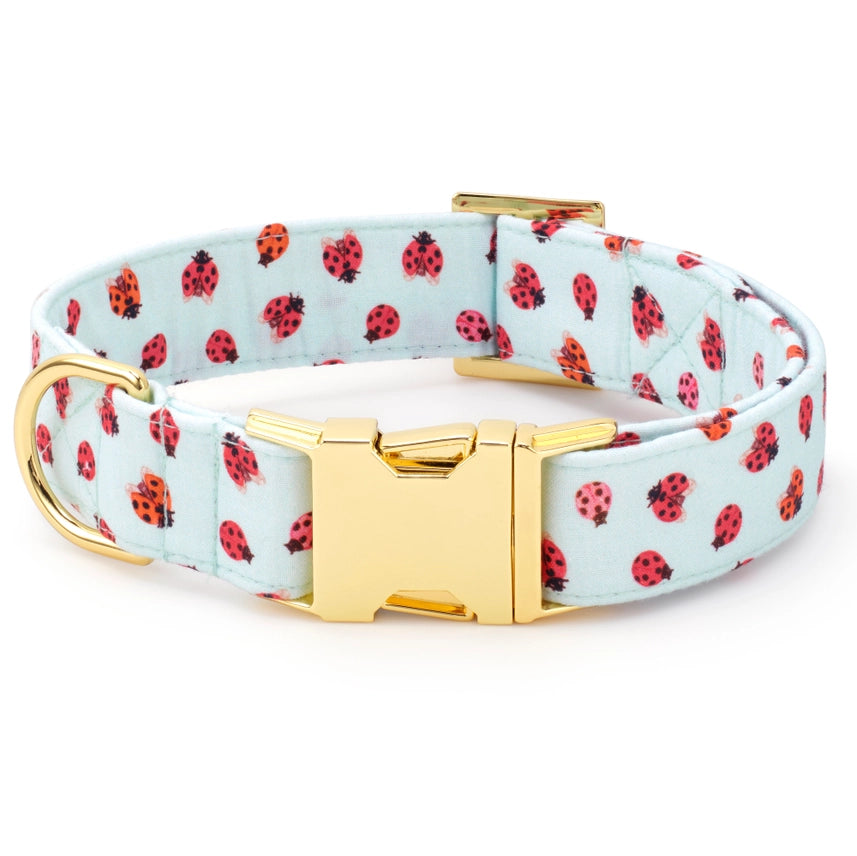 Dog Collar Love Bug