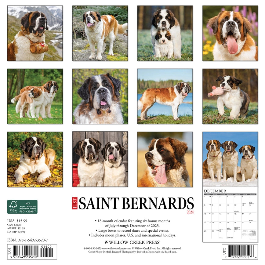 2024 Saint Bernards Calendar