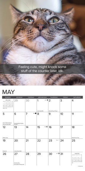 2024 Snapcats Calendar