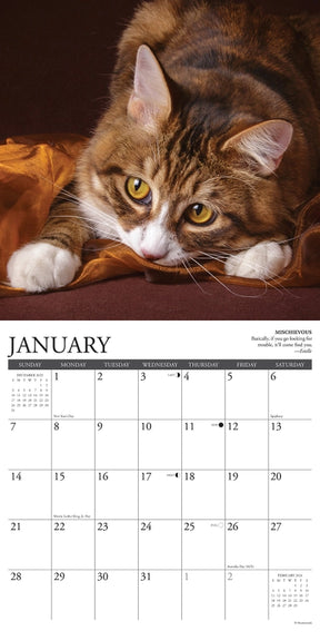 2024 Cat Rules Calendar