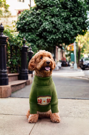 The Foggy Dog - Dog Sweater Squirrel