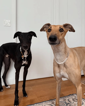 Furry Muse - Lola Necklace Pearl & Silver Chain