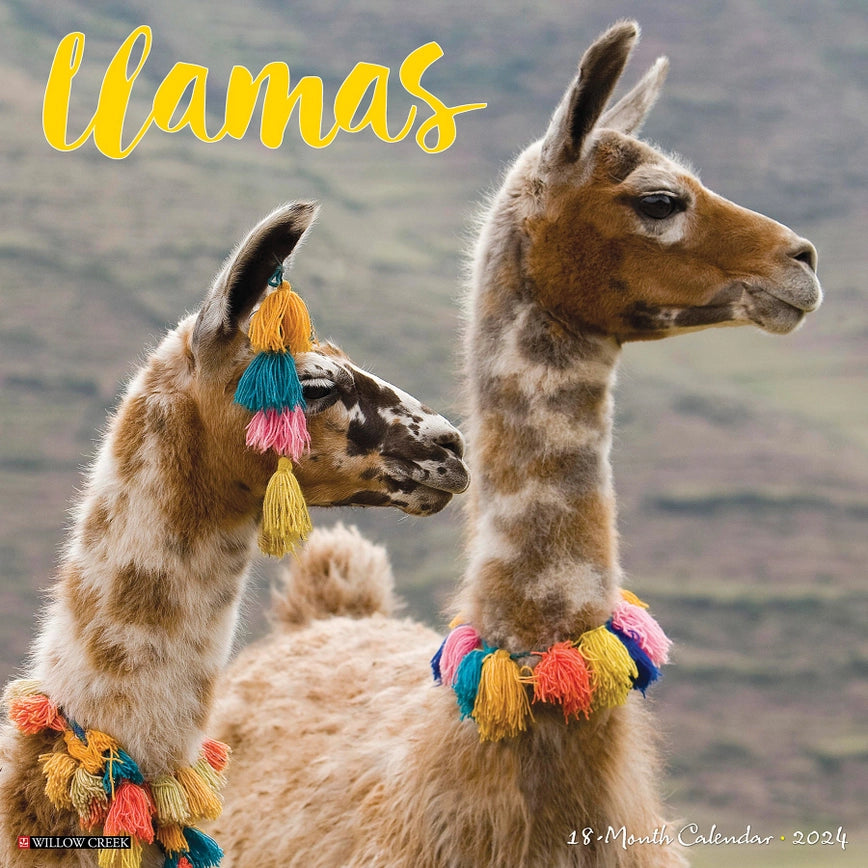 2024 Llamas Calendar