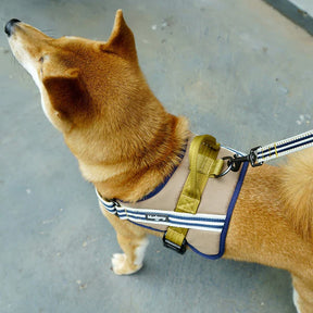 Olive and Blue-gray | Service K-9, 3M Reflective Dog Harness