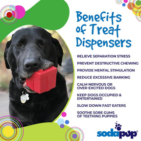 Gift Box Treat Dispenser & Dog Chew Toy
