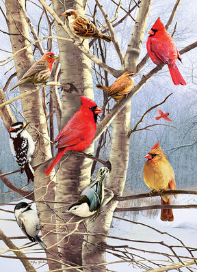 Outset Media - Puzzle Winter Birds