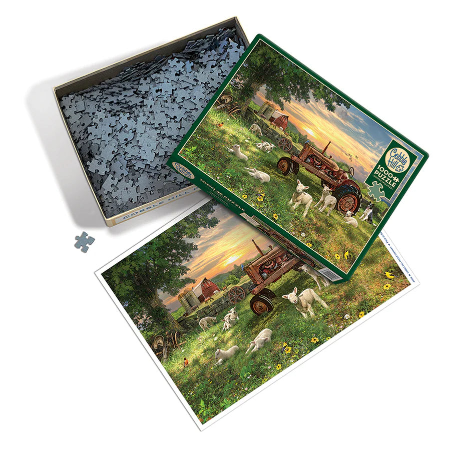 Outset Media - Puzzle Field at Sunrise