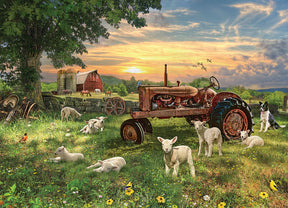 Outset Media - Puzzle Field at Sunrise