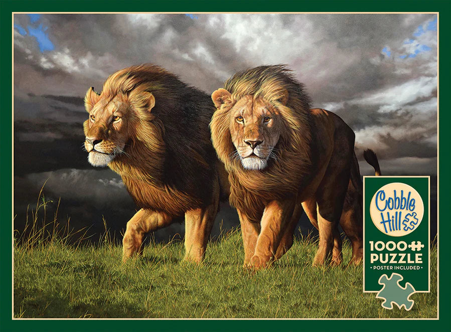 Outset Media - Puzzle Approaching Storm