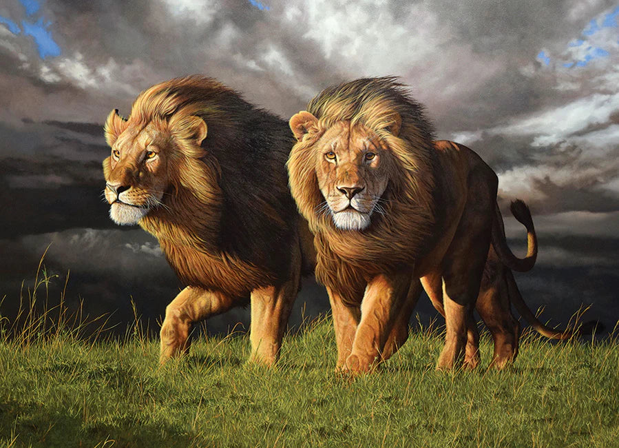 Outset Media - Puzzle Approaching Storm