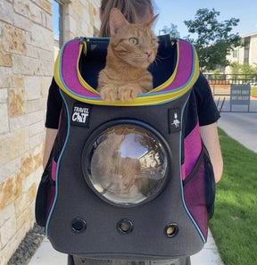 Cat Backpack Stray x Travel