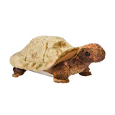 Douglas Co. - Plush Tortoise "Speedy"