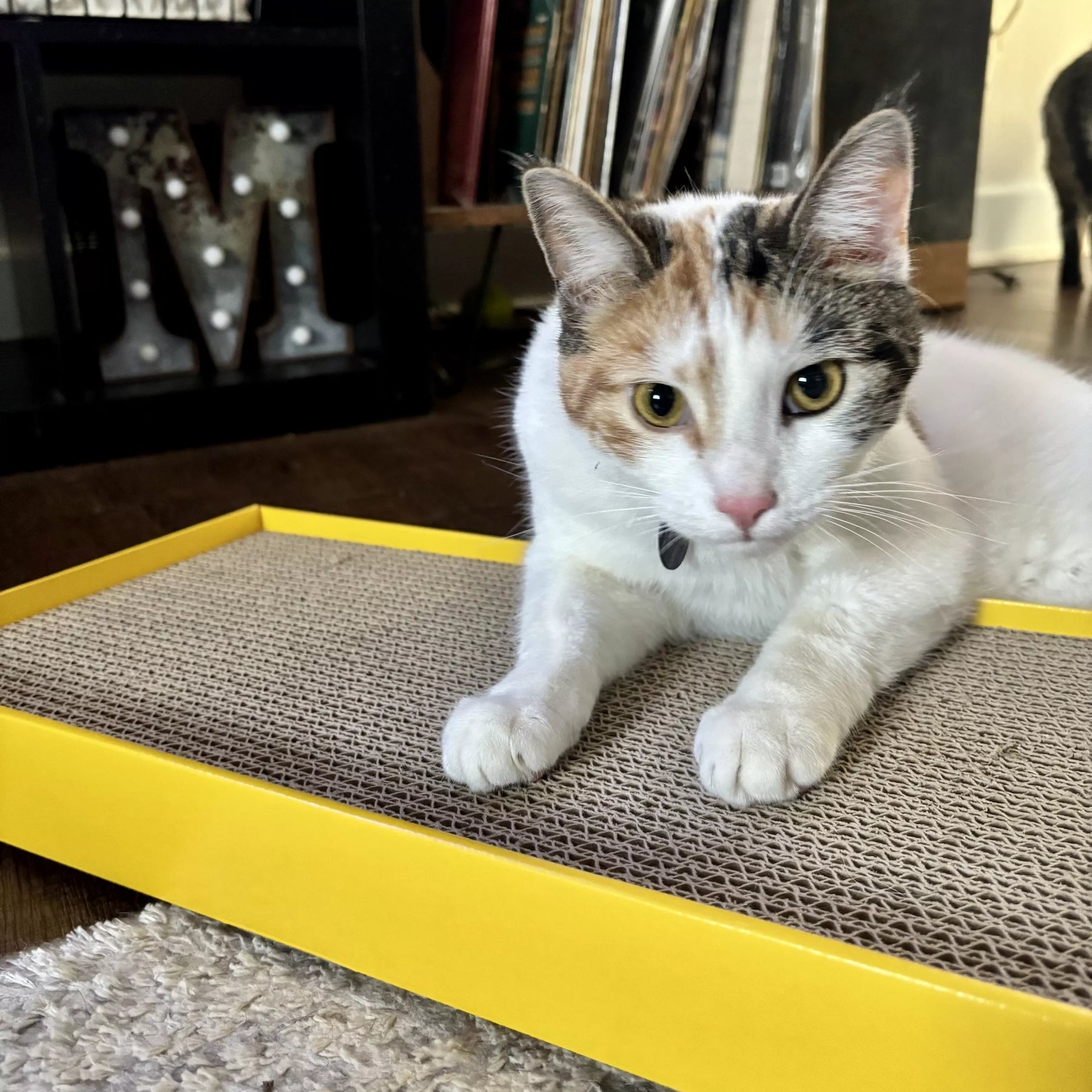 Coastal - Yellow Rectangle Scratcher