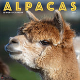 2025 Alpacas Calendar