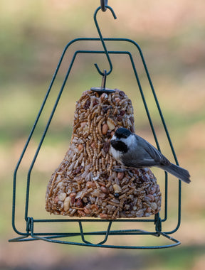 Seed Bell Hanger