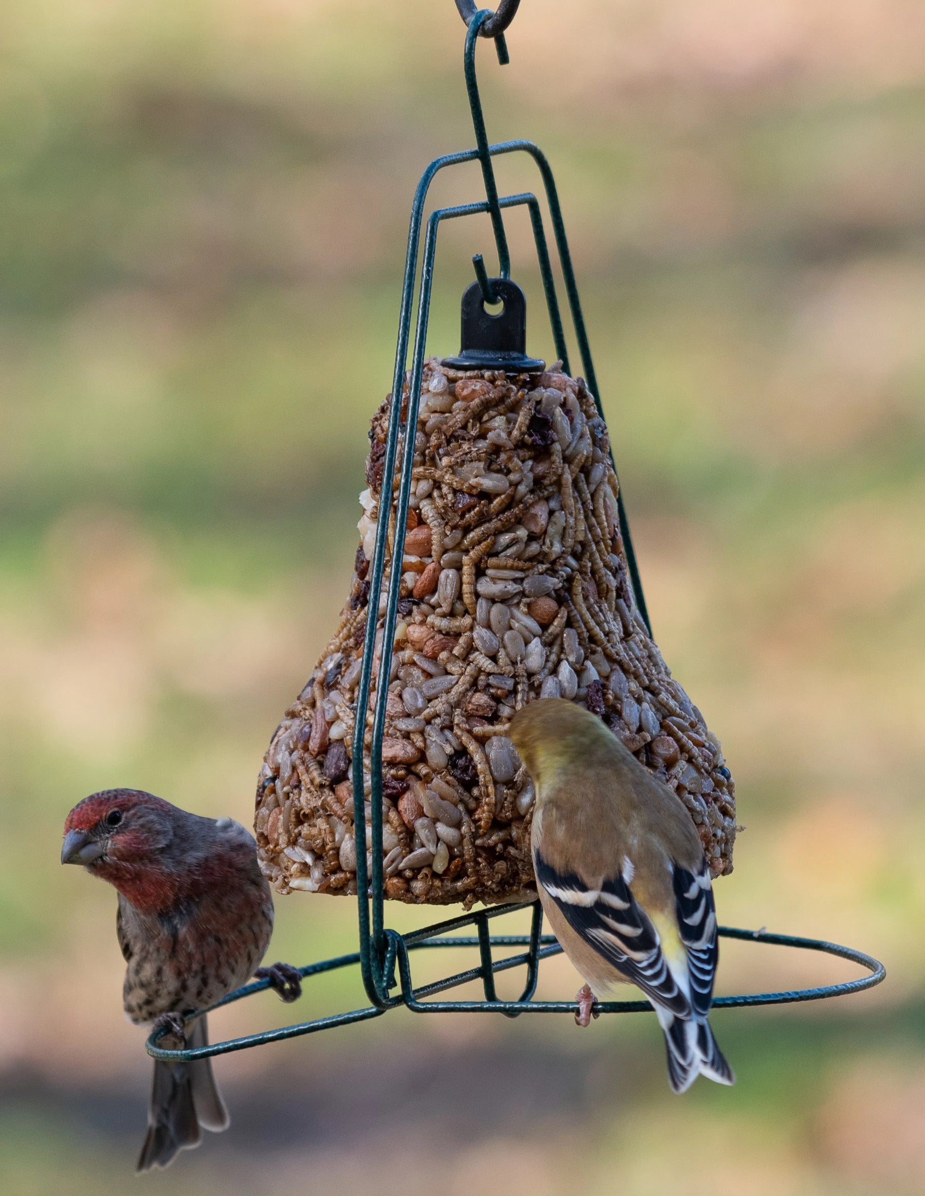 Seed Bell Hanger