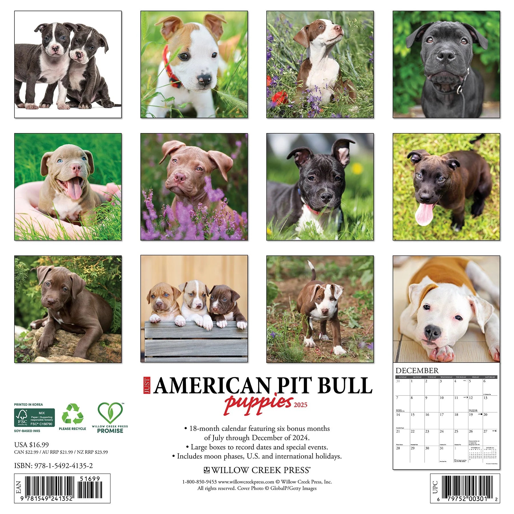 2025 American Pit Bull Puppies Calendar