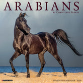 2025 Arabians Calendar