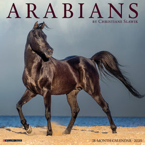 2025 Arabians Calendar