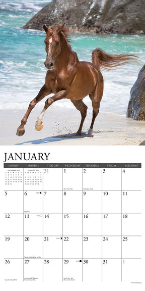 2025 Arabians Calendar