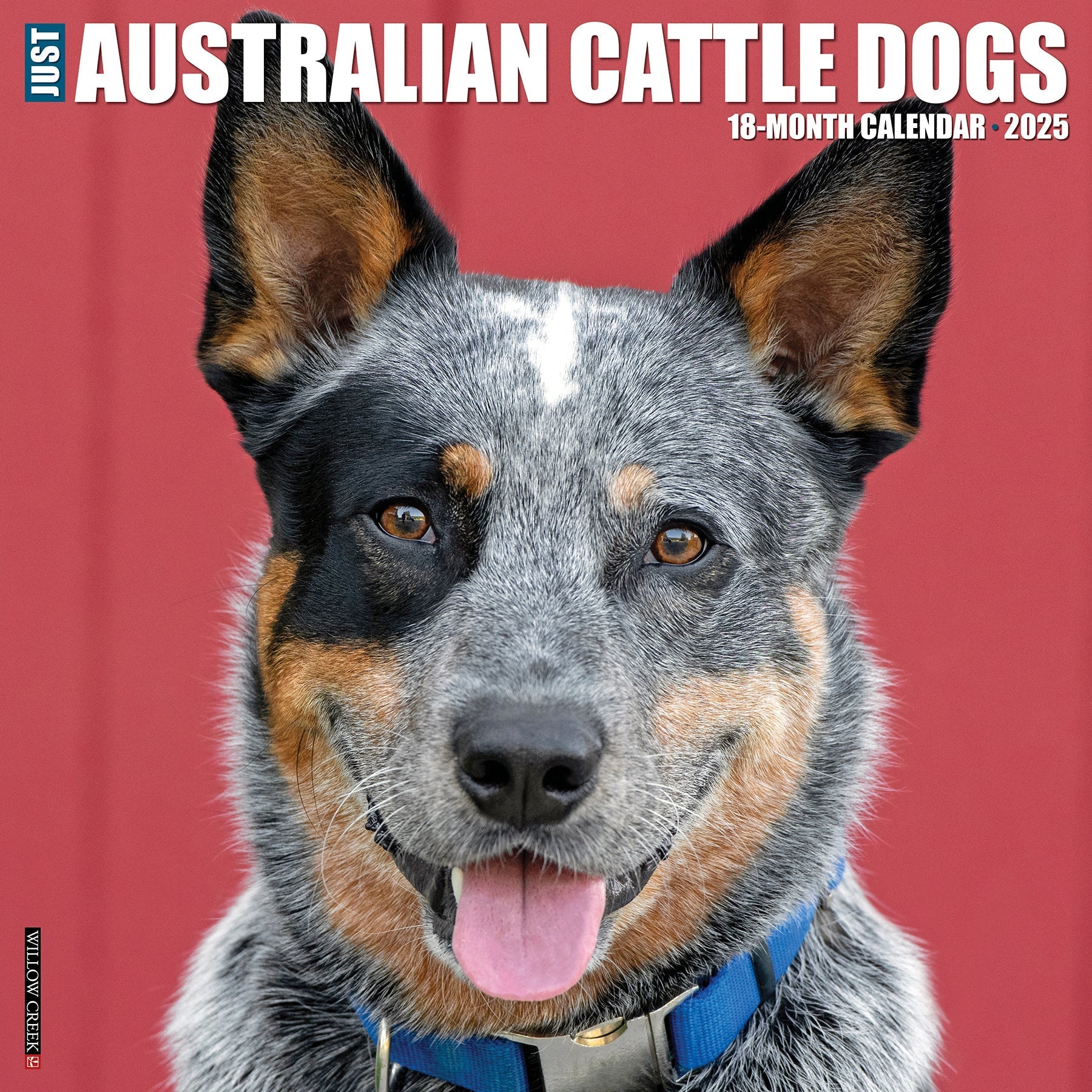 2025 Australian Cattle Dogs Calendar