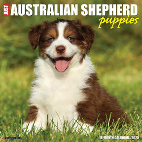 2025 Australian Shepherd Pups Calendar