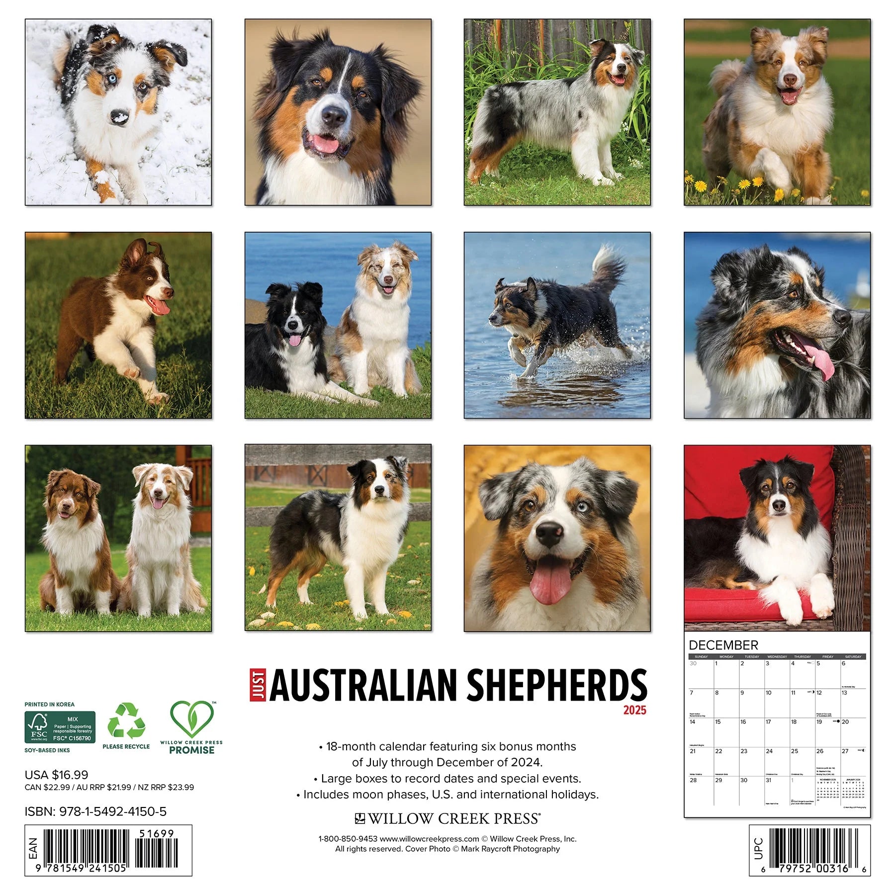 2025 Australian Shepherd Calendar