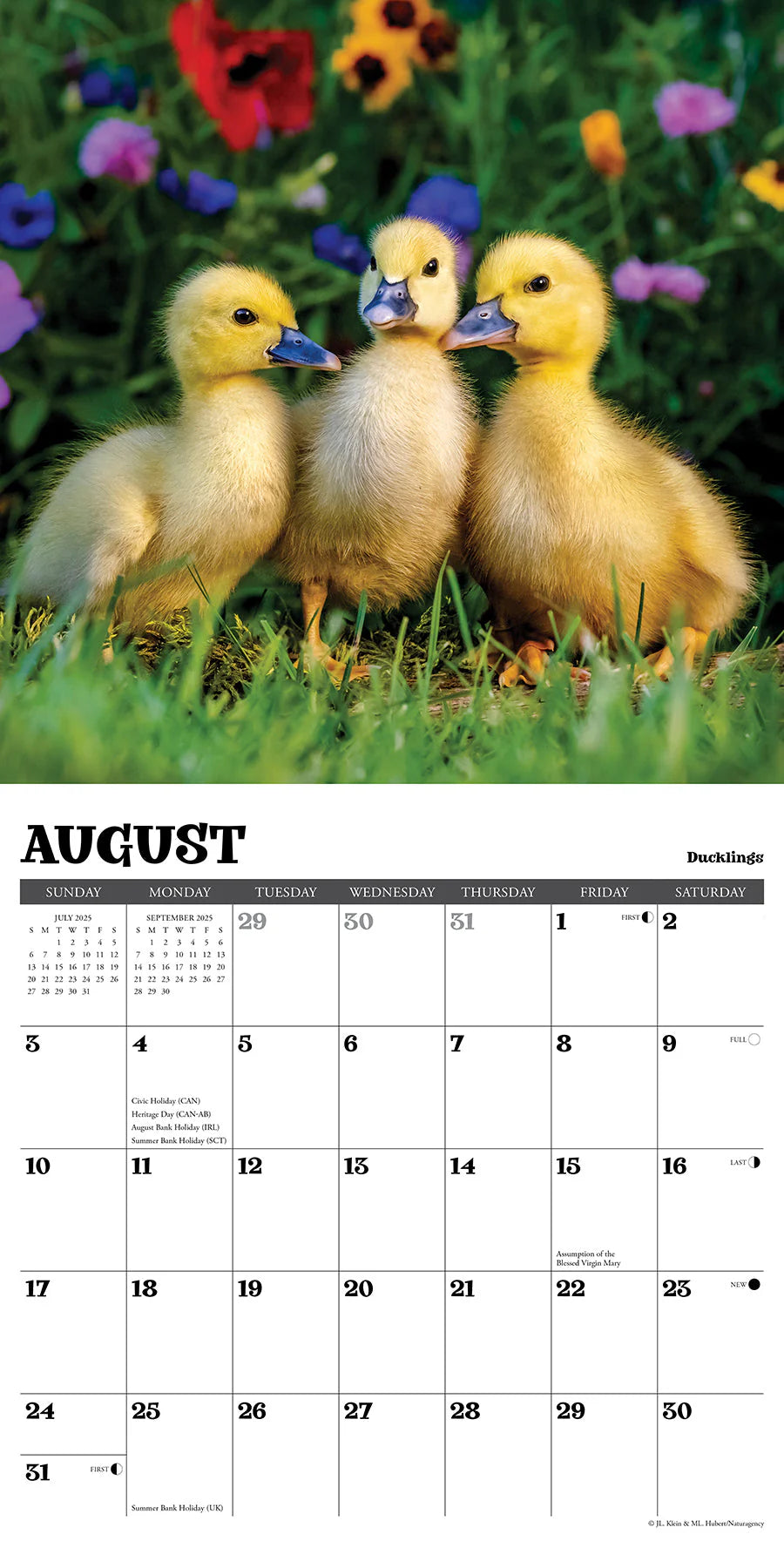 2025 Baby Animals Calendar