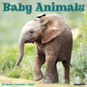 2025 Baby Animals Calendar