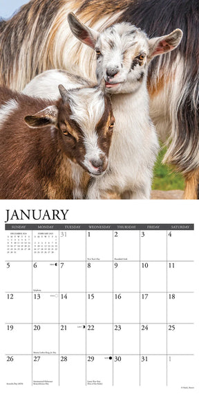 2025 Baby Goats Calendar