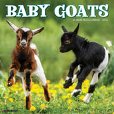 2025 Baby Goats Calendar