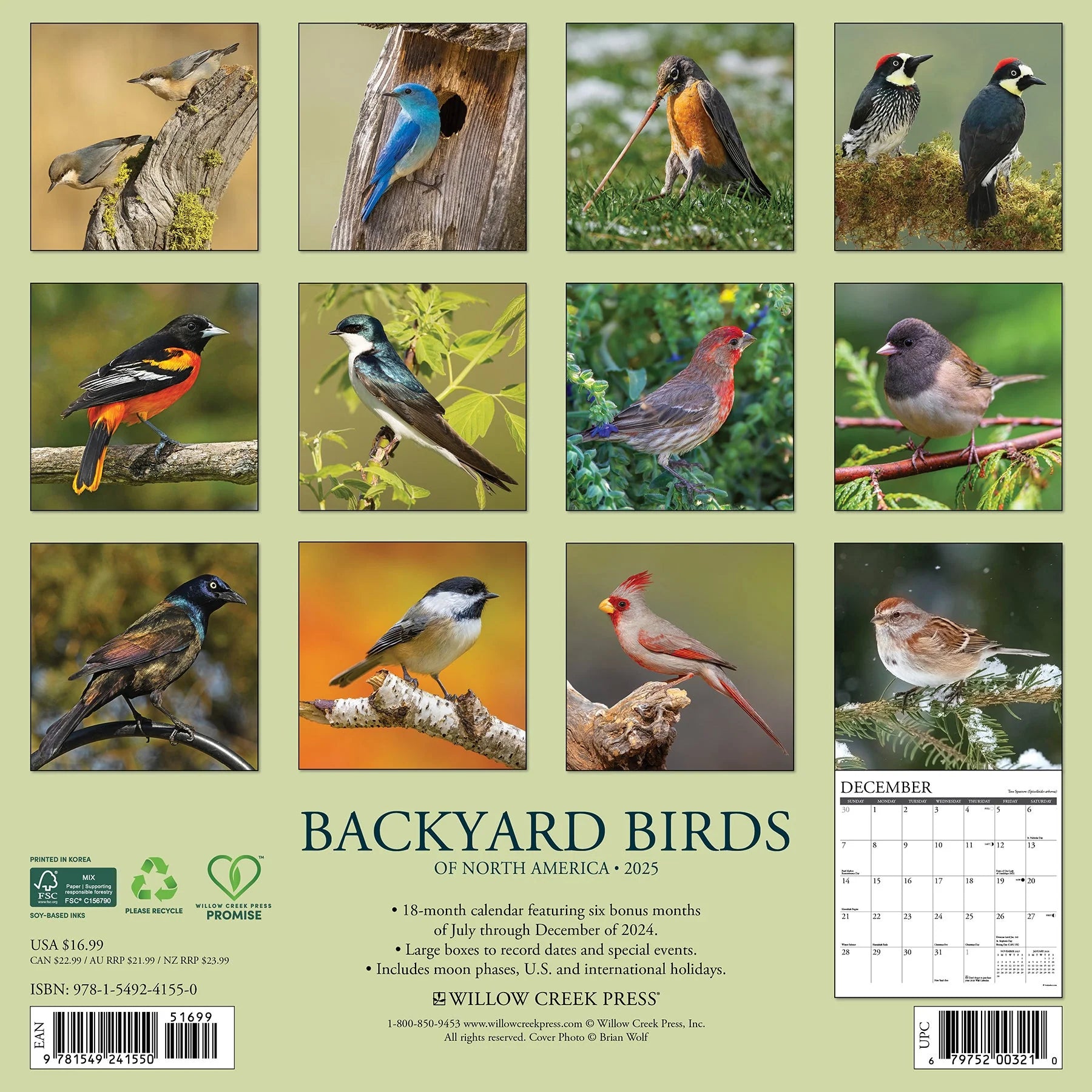 2025 Backyard Birds Of North America Calendar