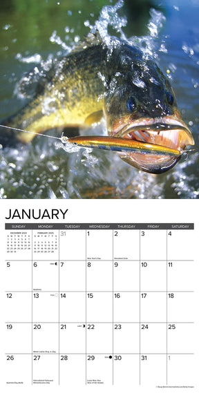 2025 Bass Calendar