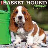 2025 Basset Hound Puppies Calendar